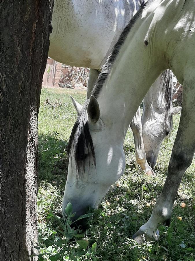 Jnane Tihihit Lalla Takerkoust Exterior foto