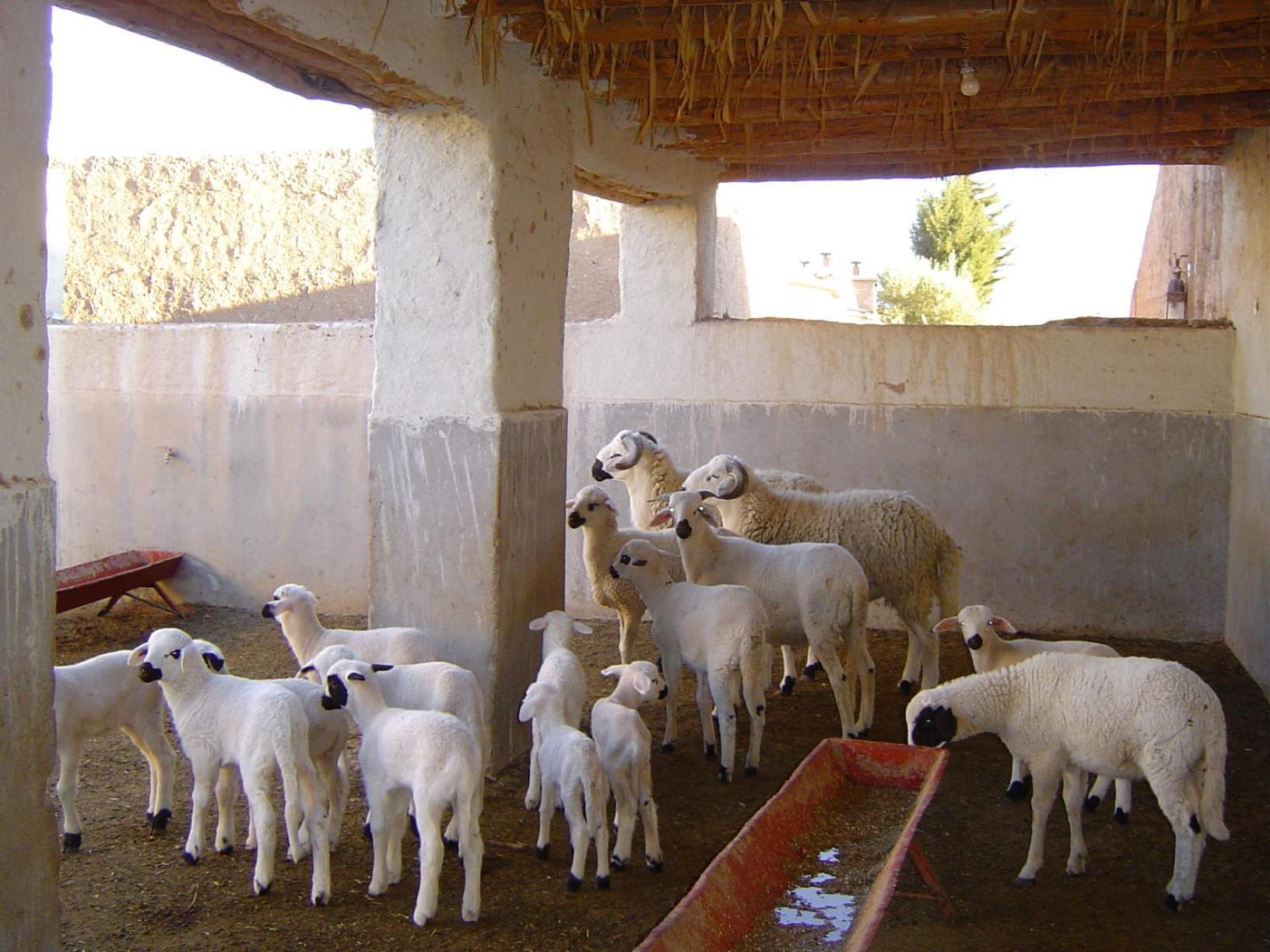 Jnane Tihihit Lalla Takerkoust Exterior foto