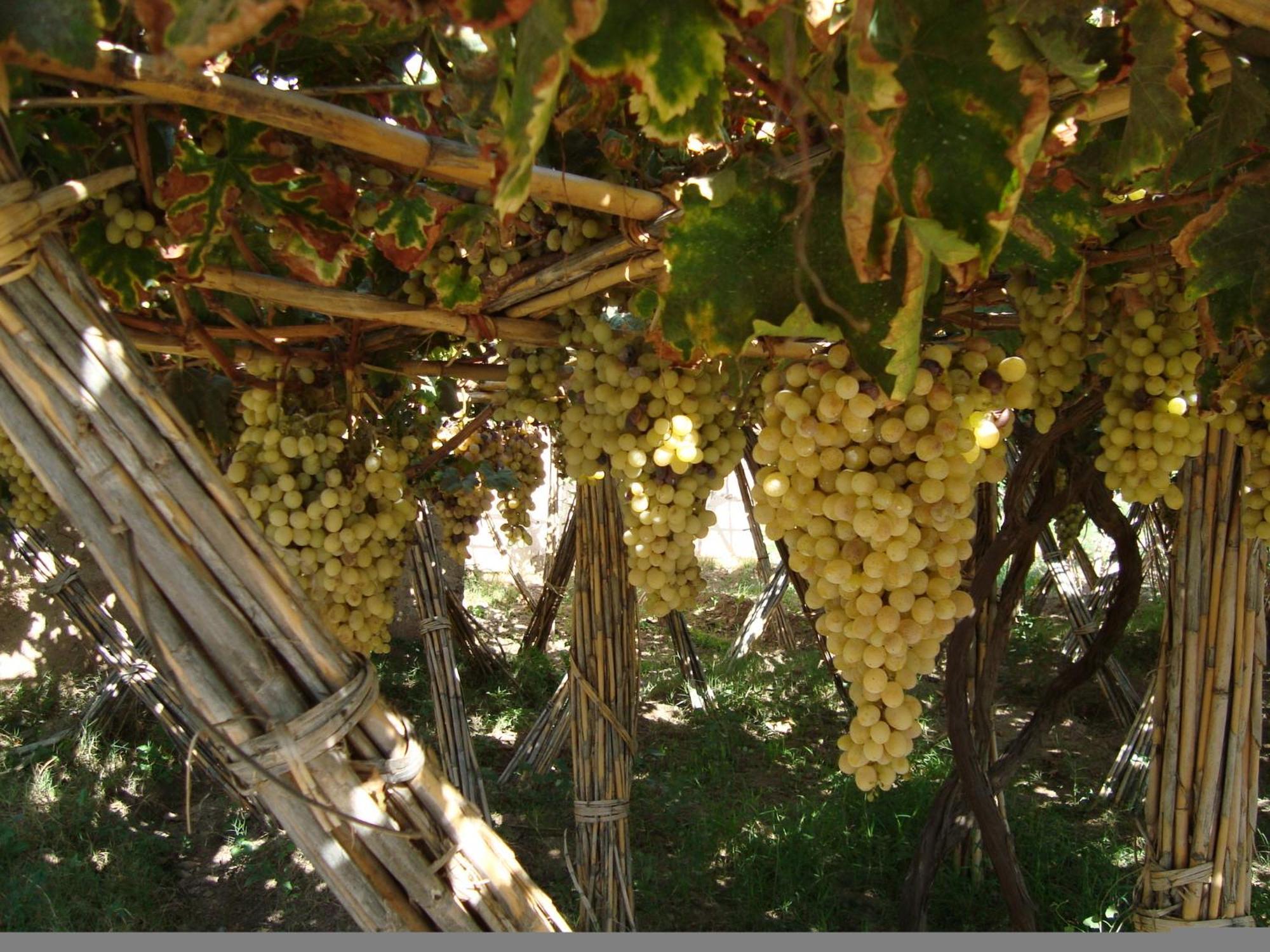 Jnane Tihihit Lalla Takerkoust Exterior foto